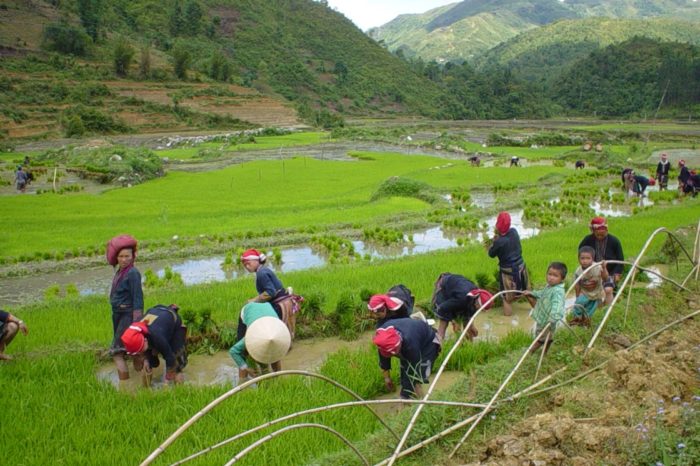LE NORD OUEST AVEC MU CANG CHAI