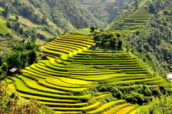 BEAUTY OF NORTH VIETNAM